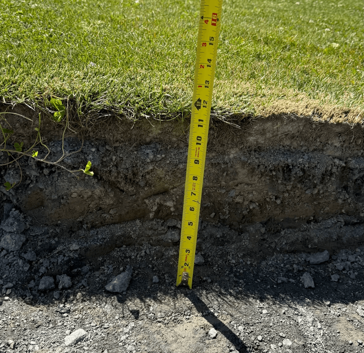 Richmond Farm project site