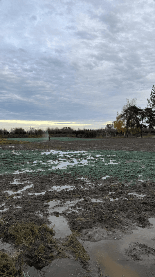 Athiana Acres Richmond Farm site