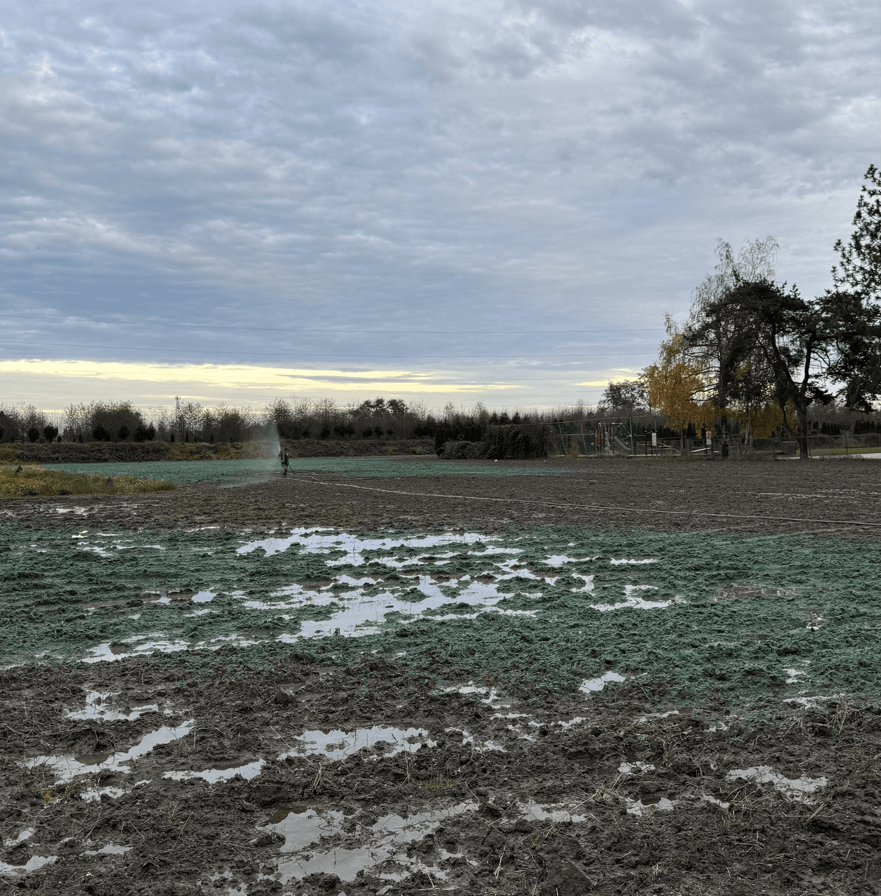 LingYen Mountain Temple remediation site