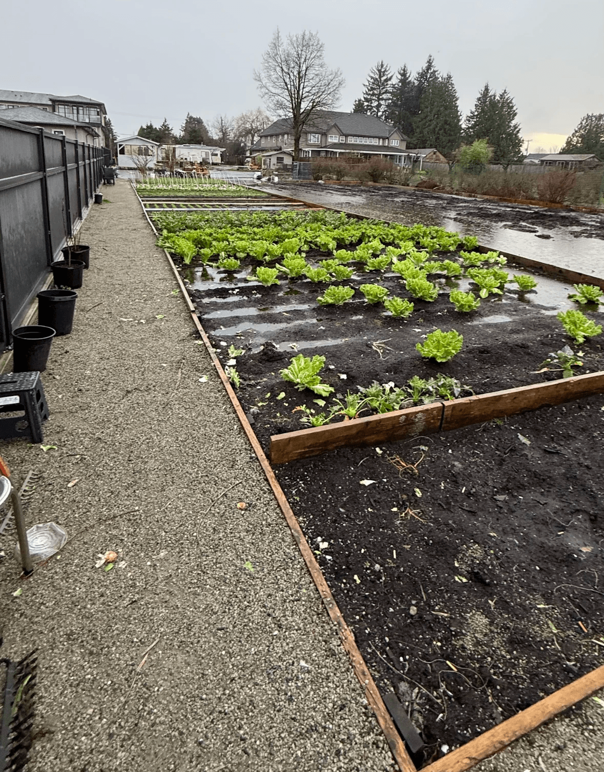 Nursery and garden landscape